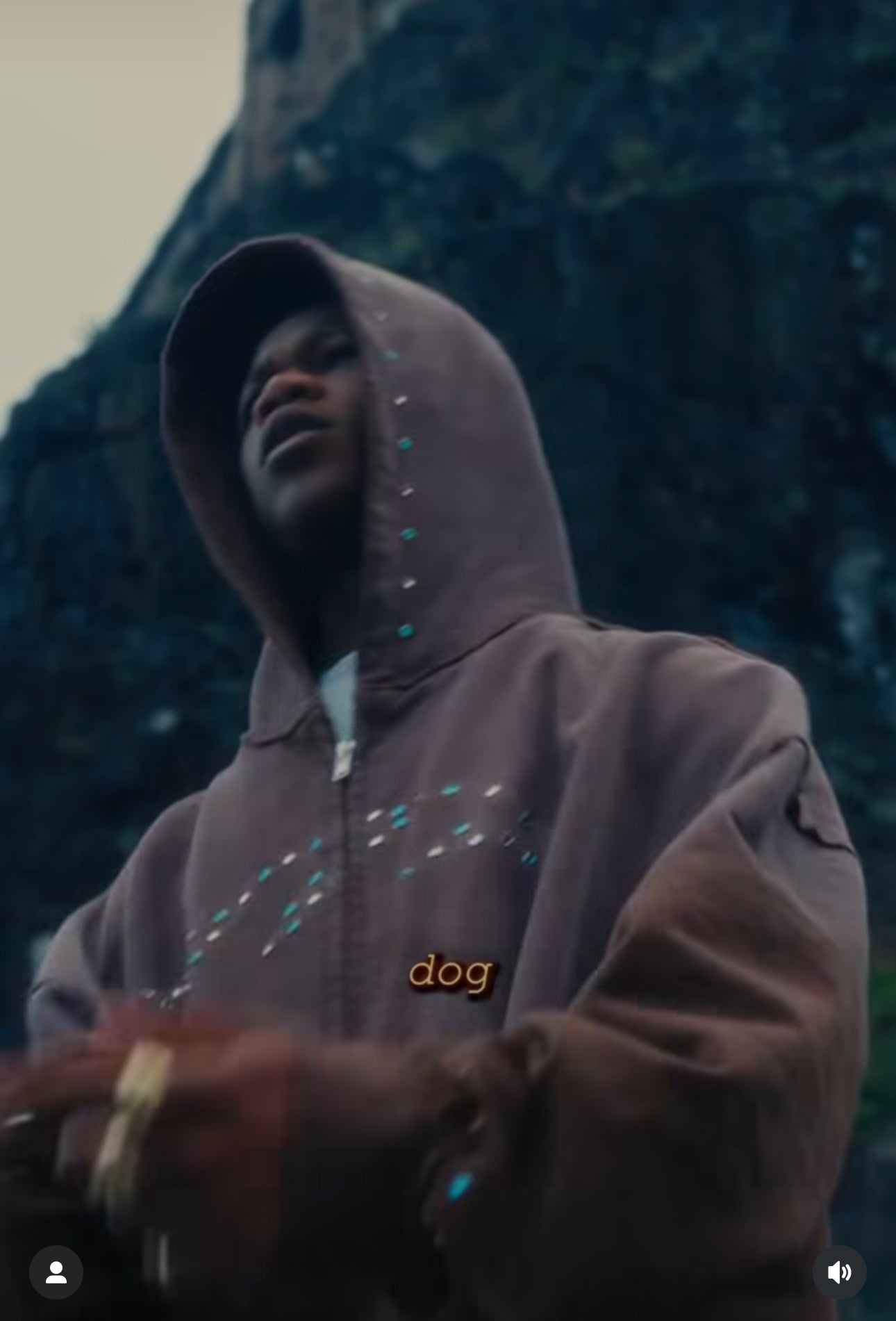 777 mocha brown rhinestone hoodie